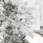 מלון Doubletree By Hilton סיטארד