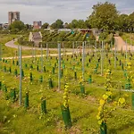 Doubletree By Hilton