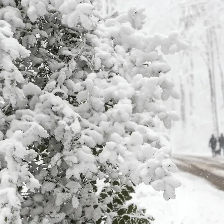 Hotell Doubletree By Hilton Sittard