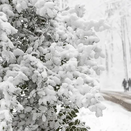 Doubletree By Hilton 4*