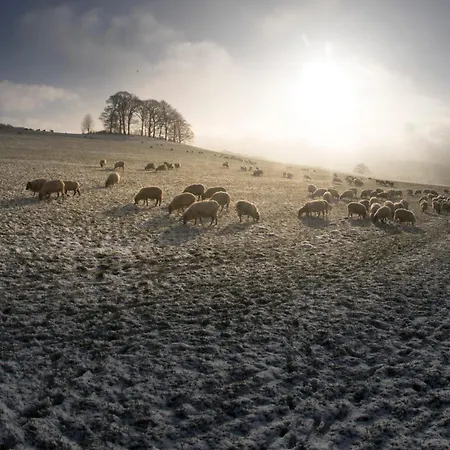 Doubletree By Hilton 4* Sittard