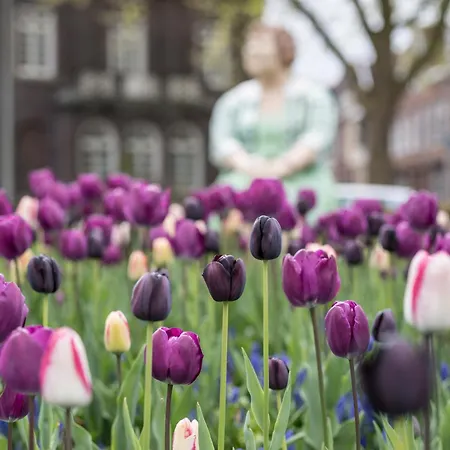 Doubletree By Hilton