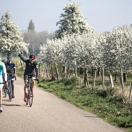 Hotel Doubletree By Hilton Sittard