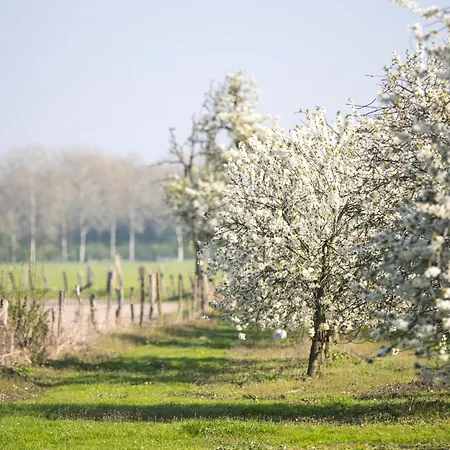 Doubletree By Hilton Sittard