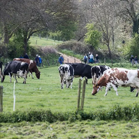 Hotel Doubletree By Hilton 4*