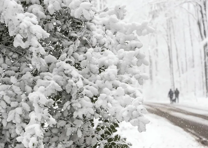 Otel Doubletree By Hilton Sittard