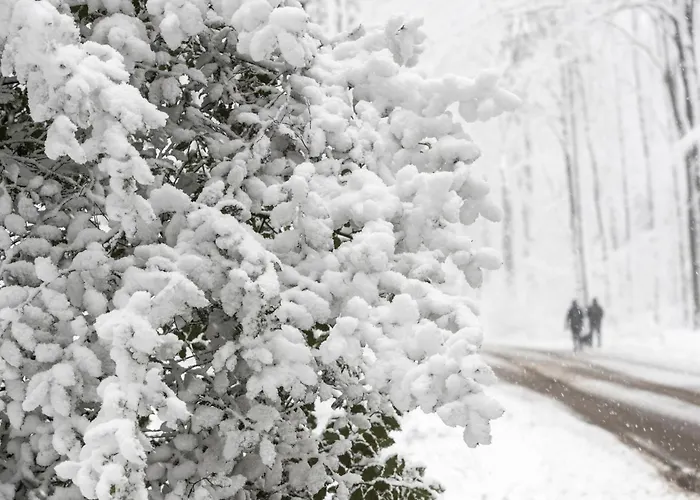 Doubletree By Hilton 4*