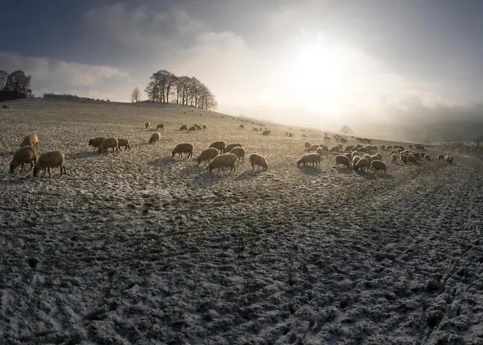 Doubletree By Hilton 4* Sittard