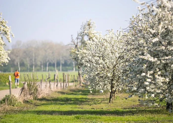 Doubletree By Hilton Sittard
