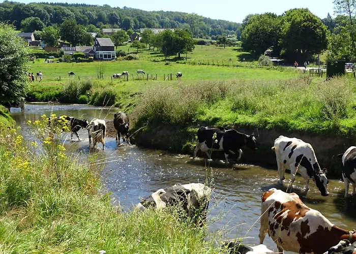 Doubletree By Hilton Hotel Sittard