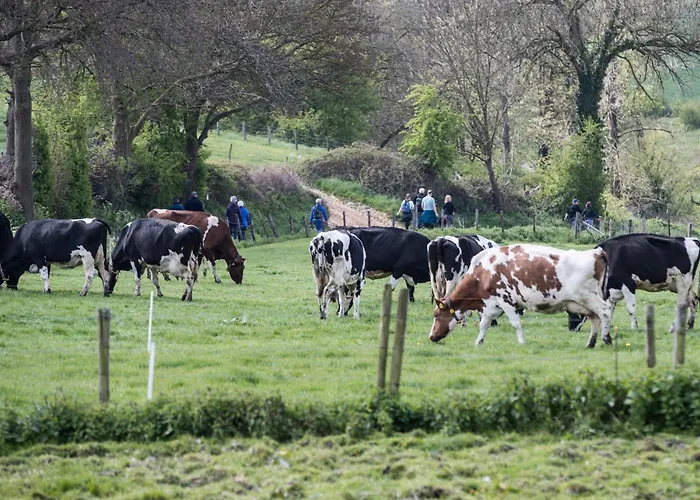 Hotel Doubletree By Hilton 4*