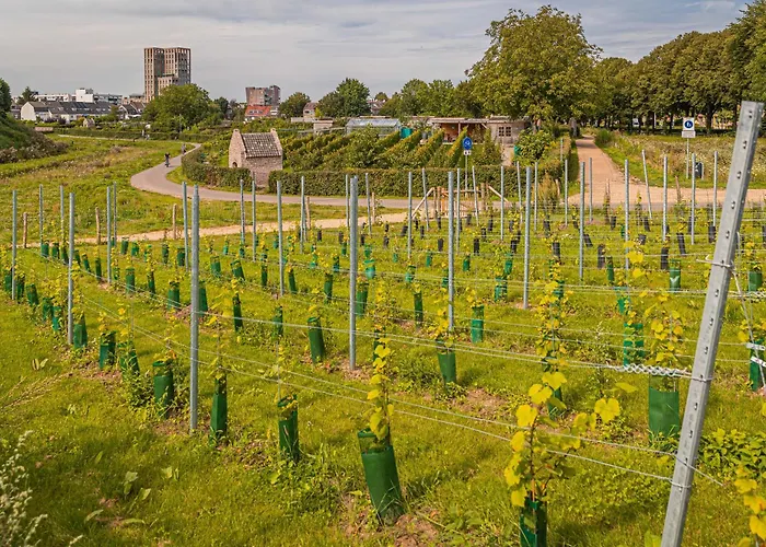 Doubletree By Hilton