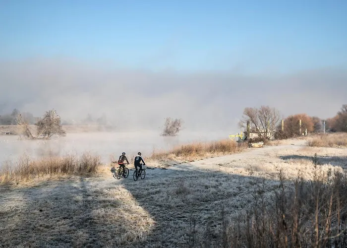 Hotel Doubletree By Hilton